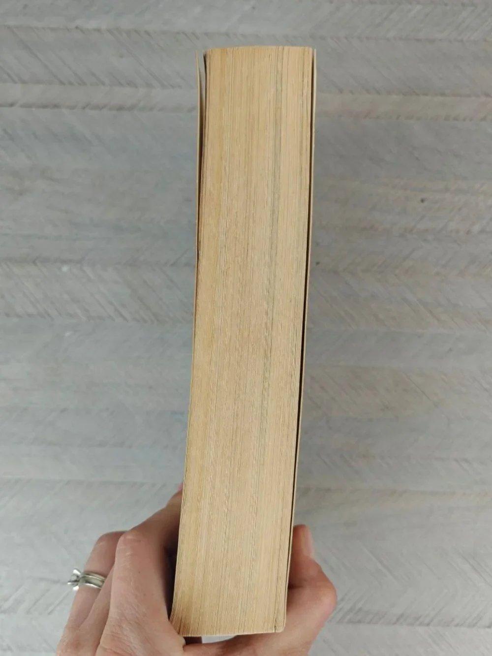 The Way The Living Bible Paperback 1976 Seventeenth Printing Illustrated
